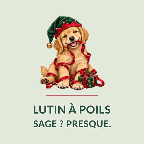 Lutin des bêtises · Chien