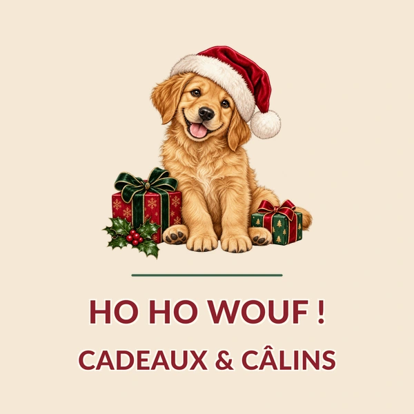 Père Noël à poils · Chien